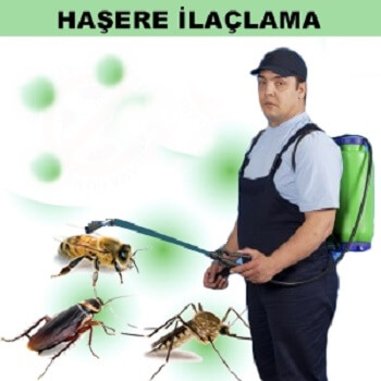 Kulu Böcek İlaçlama
